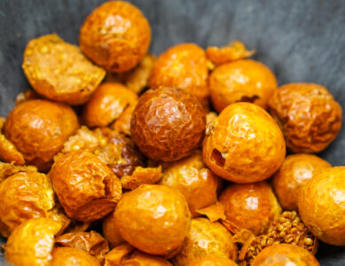 What is small, orange and has a lot of power? Our puffed physalis
