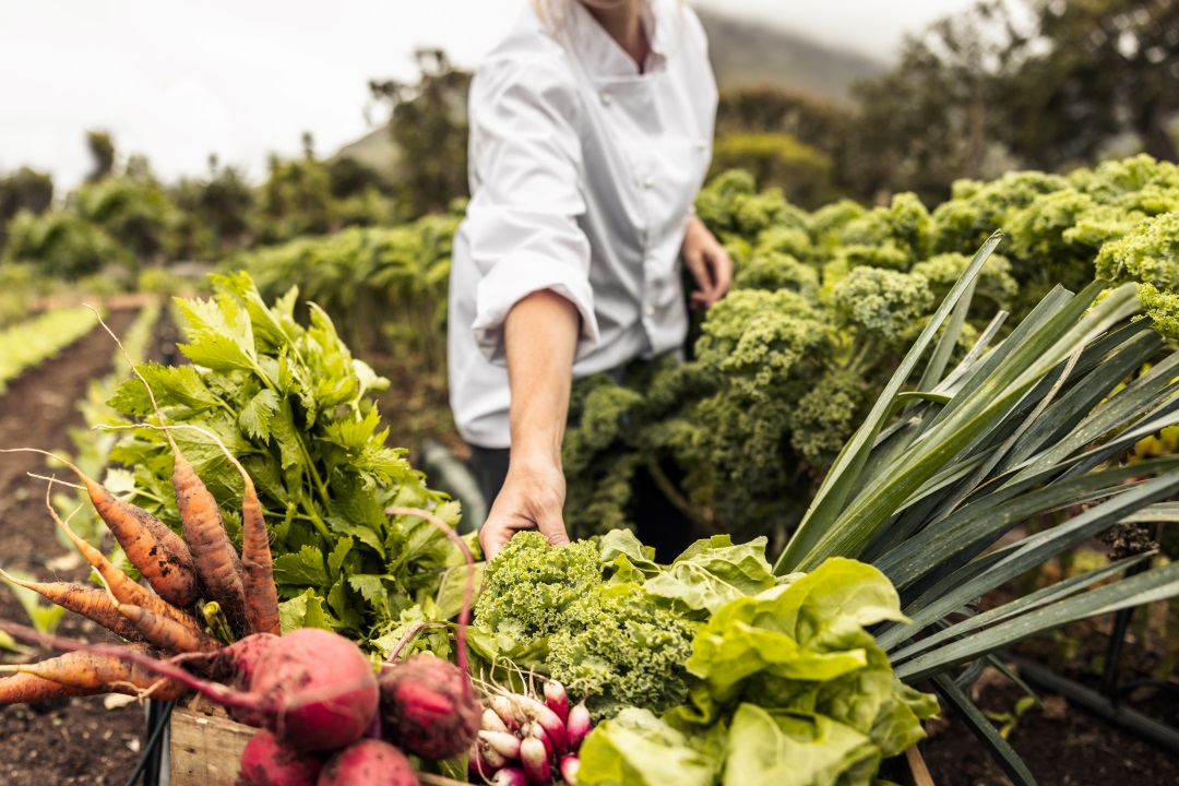 3 Myths about Organic Food - What's Really Behind "Organic